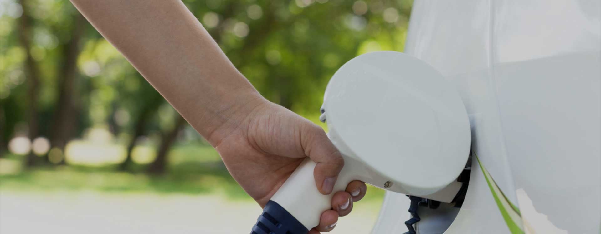 ما هي الاختلافات بين بطارية الليثيوم بالجملة والبطارية العادية ؟