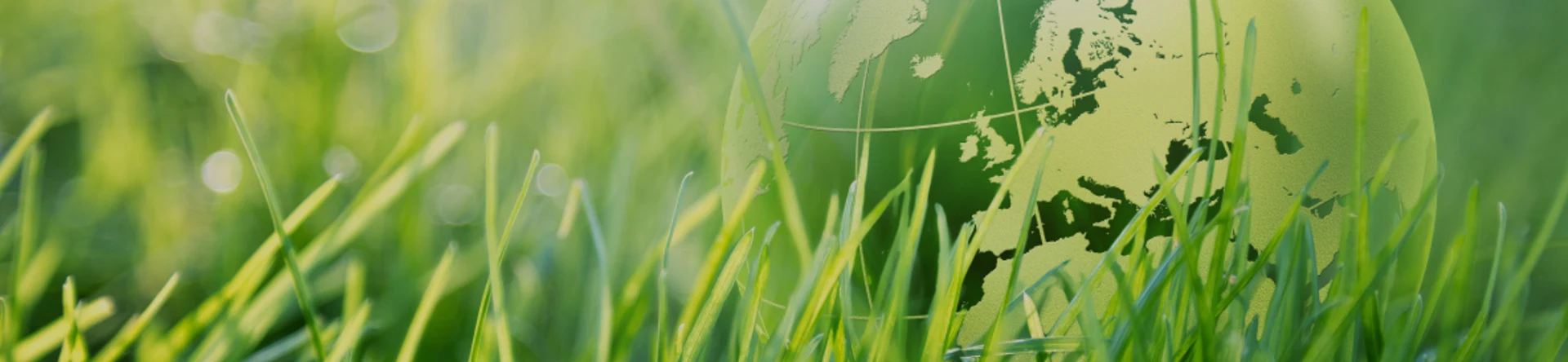 تخزين الليثيوم نقل الطاقة الخاصة بك إلى بطاريات أيون الليثيوم المستدامة